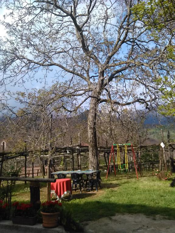Casa Giordano Villa Tramonti Szoba fotó