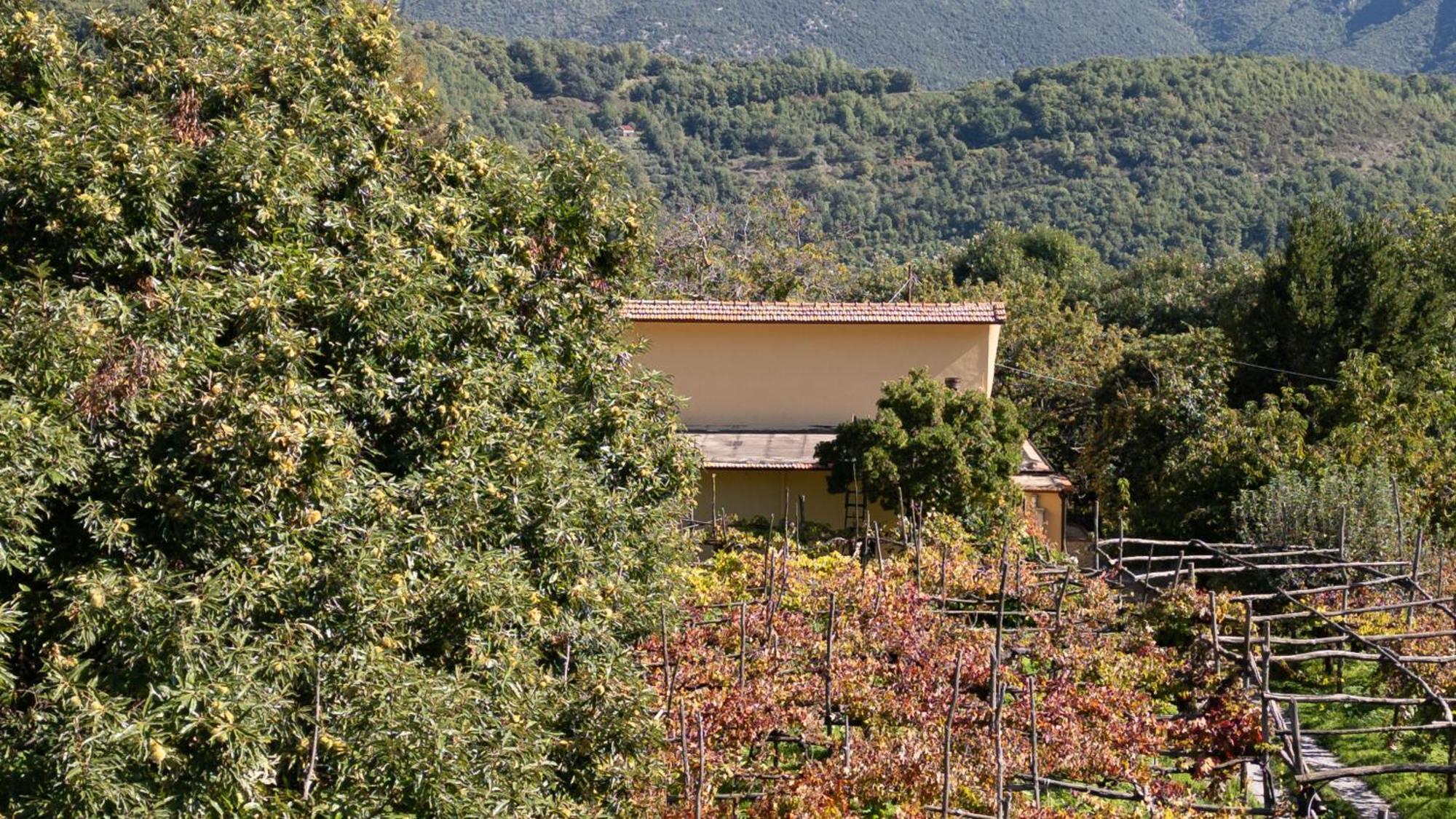 Casa Giordano Villa Tramonti Kültér fotó