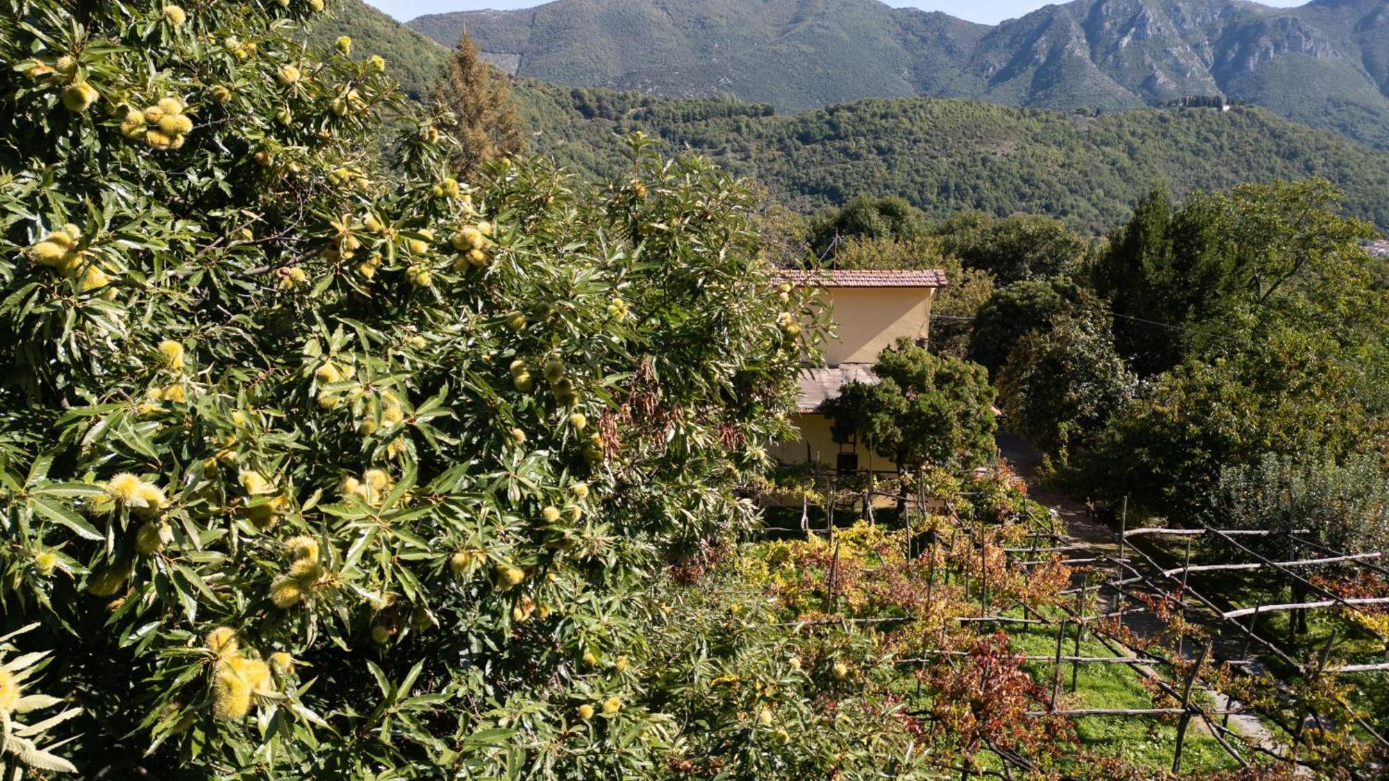 Casa Giordano Villa Tramonti Kültér fotó